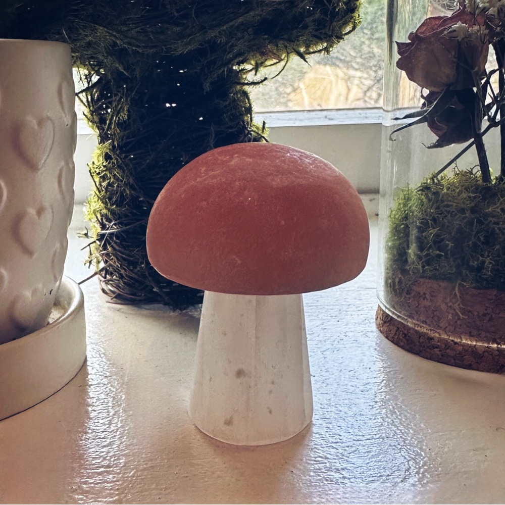 [ 2 FOR $25 ] 🍄‍🟫 SMALL CRYSTAL MUSHROOM